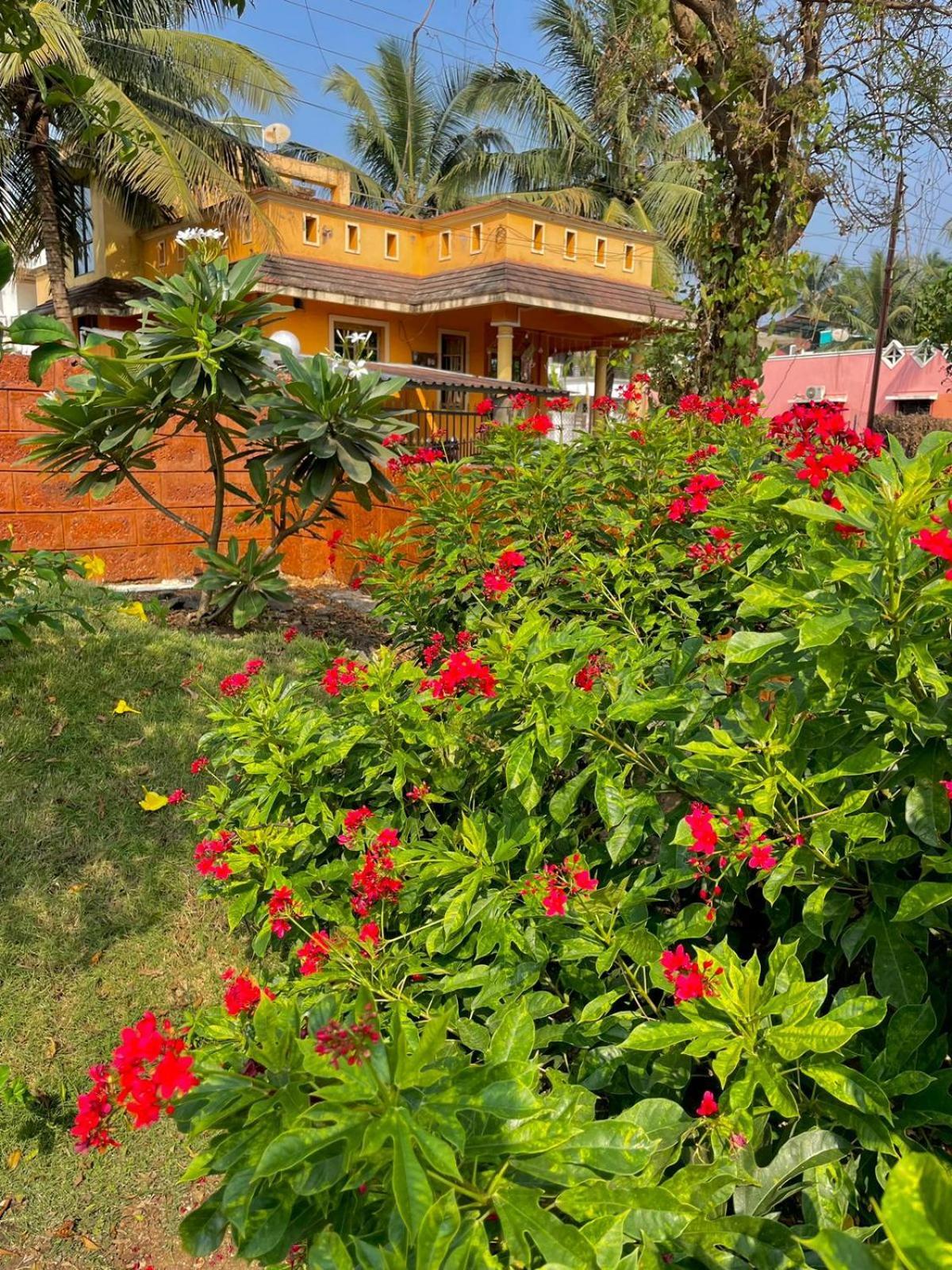 Scarlet Resort Alibag Bagian luar foto